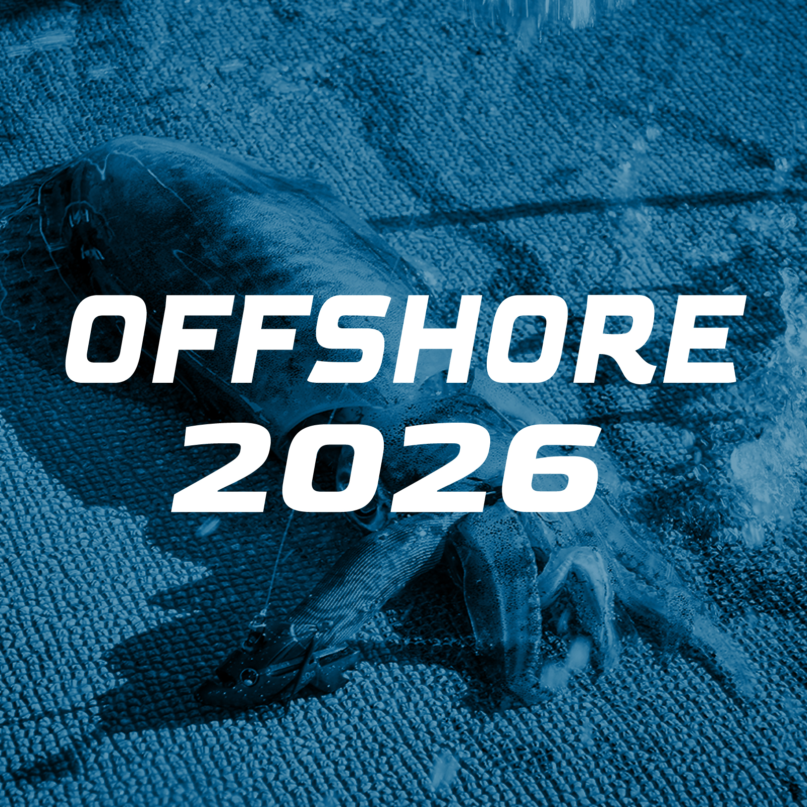 ジャッカルHP オフショアコラムページに遷移します。